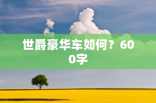 世爵豪华车如何？600字