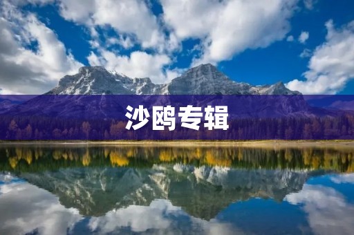 沙鸥专辑:探索音乐世界的无尽边界