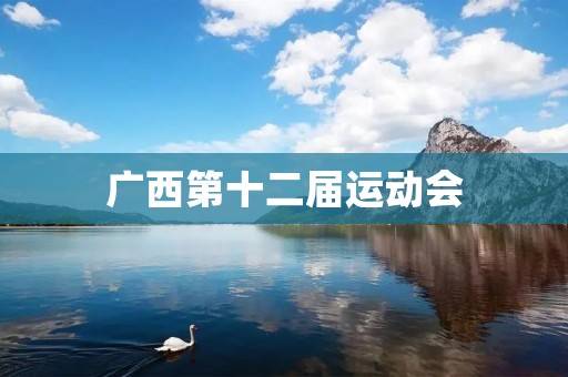 广西第十二届运动会：**碰撞的体育盛会