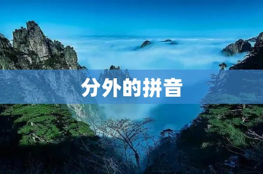 分外的拼音