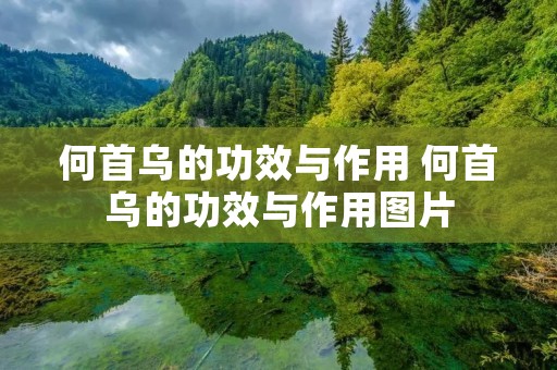 何首乌的功效与作用 何首乌的功效与作用图片