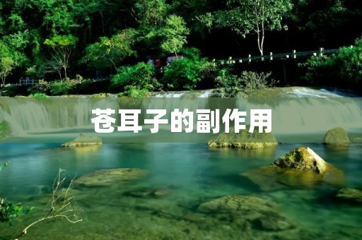 苍耳子的副作用:详细解析苍耳子的副作用及注意事项