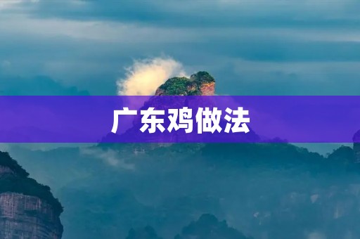 广东鸡做法：传统美味，香气四溢