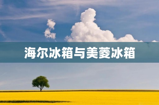 海尔冰箱与美菱冰箱:哪个更适合你? 海尔冰箱与美菱冰箱:哪个更适合你?