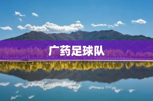 广药足球队:为实现中国足球梦不懈努力的代表 广药足球队:为实现中国足球梦不懈努力的代表