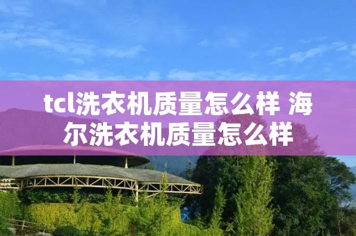 tcl洗衣机质量怎么样 海尔洗衣机质量怎么样