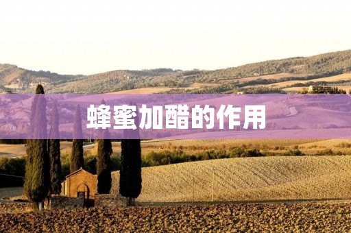 蜂蜜加醋的作用:探索这一古老健康组合的奥秘