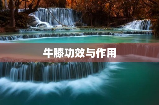 牛膝功效与作用:对人体健康有益的奇妙植物