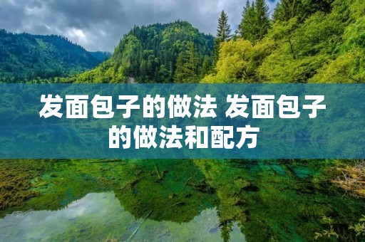 发面包子的做法 发面包子的做法和配方