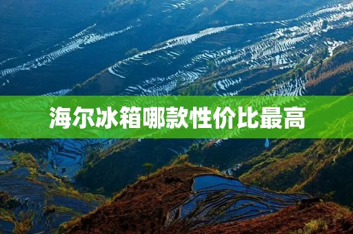 海尔冰箱哪款性价比最高