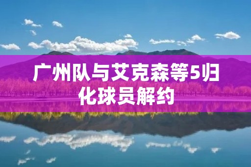 广州队与艾克森等5归化球员解约