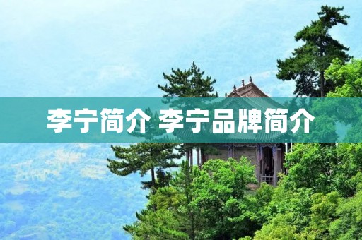 李宁简介 李宁品牌简介