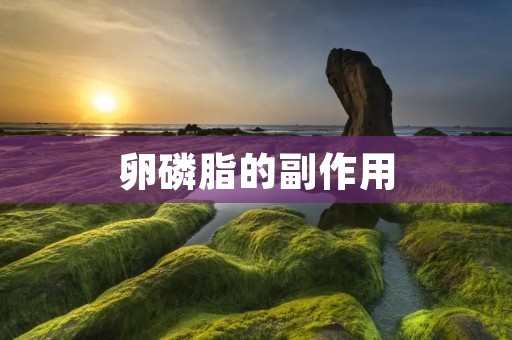 卵磷脂的副作用:了解食用卵磷脂的注意事项