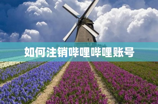 如何注销哔哩哔哩账号