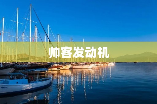 帅客发动机：为您带来驾驶的绝佳体验