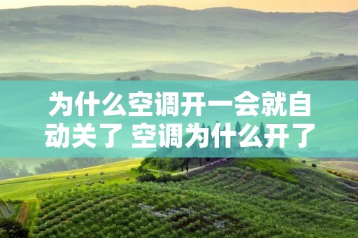 为什么空调开一会就自动关了 空调为什么开了一会就自动关了 为什么空调开一会就自动关了 空调为什么开了一会就自动关了