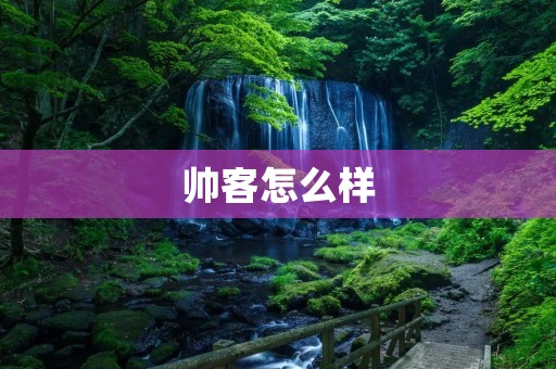 帅客怎么样:解析这款独具特色的旅行方式 帅客怎么样:解析这款独具特色的旅行方式