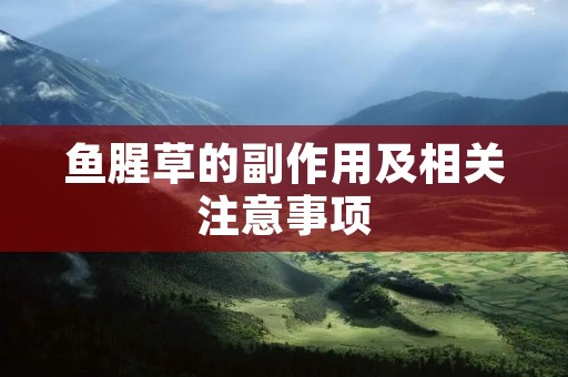 鱼腥草的副作用及相关注意事项