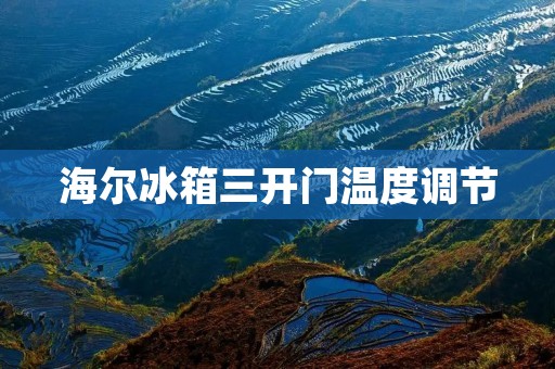 海尔冰箱三开门温度调节：为你的食物提供最佳保存环境