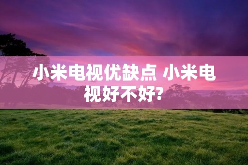 小米电视优缺点 小米电视好不好? 小米电视优缺点 小米电视好不好?
