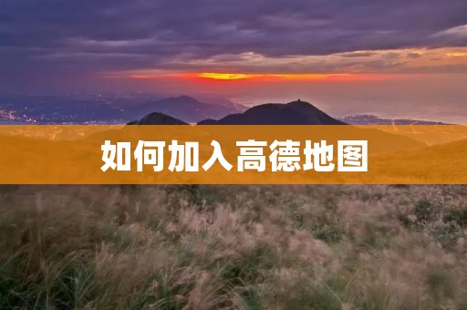 如何加入高德地图