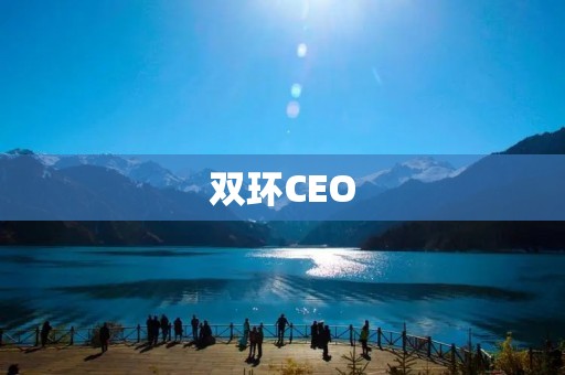 双环CEO：引领企业创新与发展的领军人物