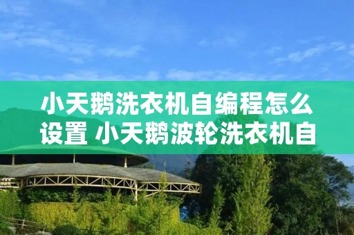 小天鹅洗衣机自编程怎么设置 小天鹅波轮洗衣机自编程 小天鹅洗衣机自编程怎么设置 小天鹅波轮洗衣机自编程