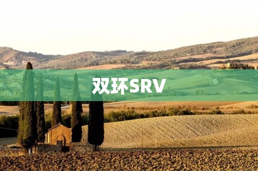 双环SRV:开创新时代的石油钻井工具 双环SRV:开创新时代的石油钻井工具