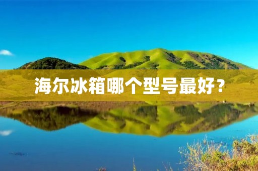 海尔冰箱哪个型号最好？