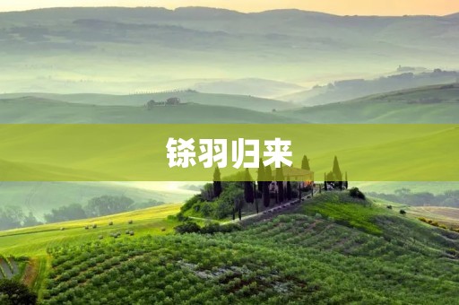 铩羽归来:逆境中的奋斗者