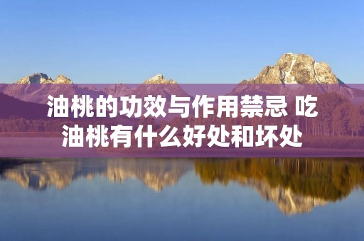 油桃的功效与作用禁忌 吃油桃有什么好处和坏处