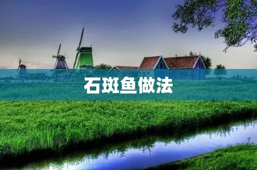 石斑鱼做法：美味佳肴的制作秘籍
