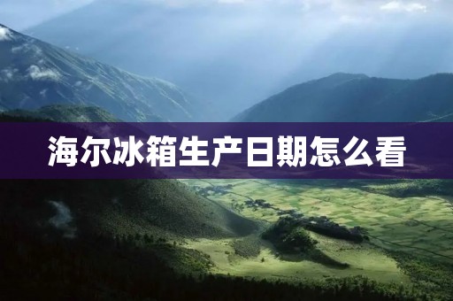 海尔冰箱生产日期怎么看 海尔冰箱生产日期怎么看
