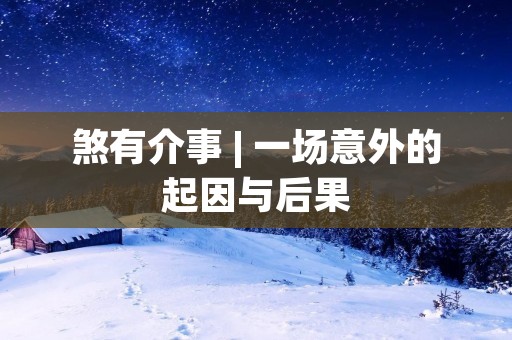 煞有介事 | 一场意外的起因与后果