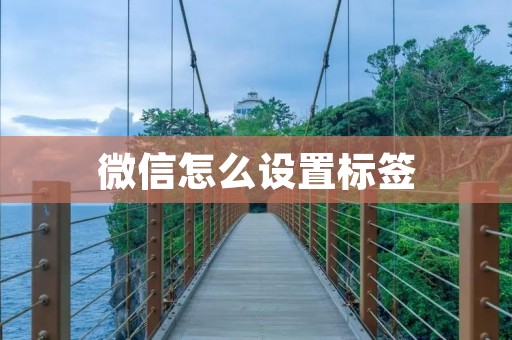 微信怎么设置标签