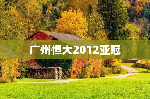 广州恒大2012亚冠:亚洲足坛的巅峰辉煌 广州恒大2012亚冠:亚洲足坛的巅峰辉煌