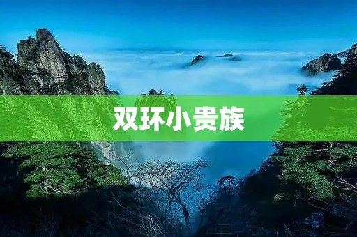 双环小贵族:品味与个性的完美融合 双环小贵族:品味与个性的完美融合