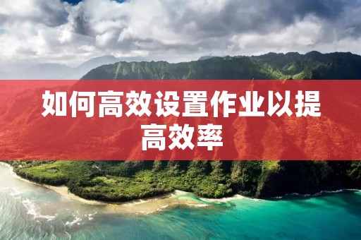 如何高效设置作业以提高效率