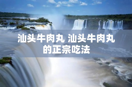 汕头牛肉丸 汕头牛肉丸的正宗吃法 汕头牛肉丸 汕头牛肉丸的正宗吃法