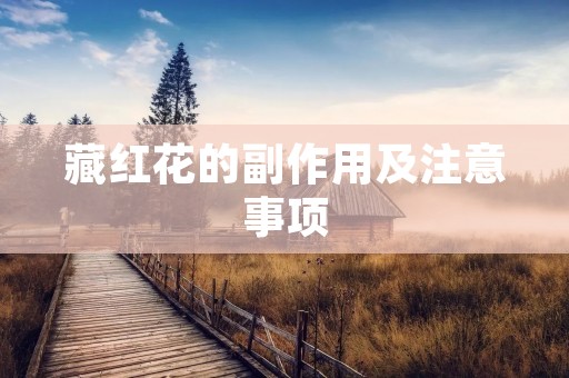 藏红花的副作用及注意事项