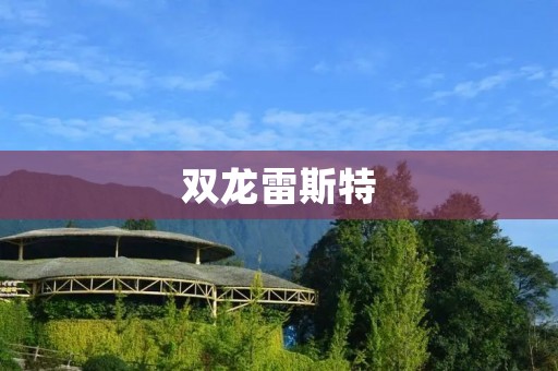 双龙雷斯特:引领豪华SUV新潮流 双龙雷斯特:引领豪华SUV新潮流