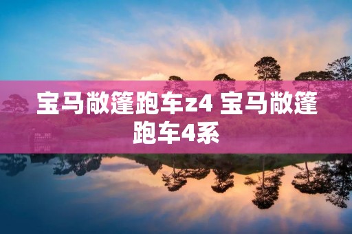 宝马敞篷跑车z4 宝马敞篷跑车4系