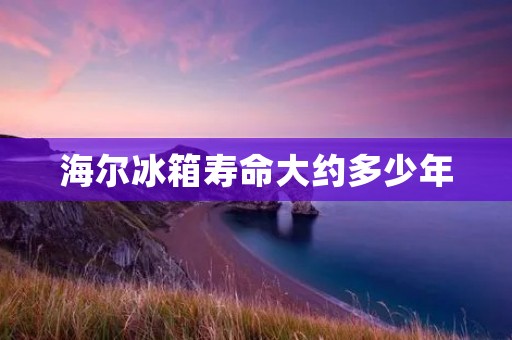 海尔冰箱寿命大约多少年