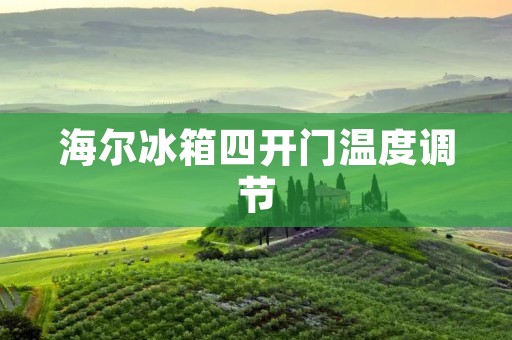 海尔冰箱四开门温度调节：让食材保鲜更得心应手