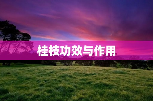 桂枝功效与作用:详细解读桂枝的药用价值