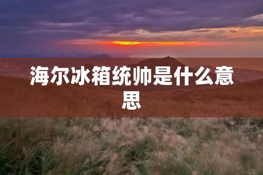 海尔冰箱统帅是什么意思 海尔冰箱统帅是什么意思