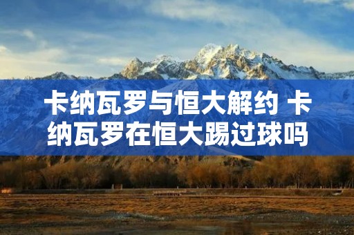 卡纳瓦罗与恒大解约 卡纳瓦罗在恒大踢过球吗 卡纳瓦罗与恒大解约 卡纳瓦罗在恒大踢过球吗