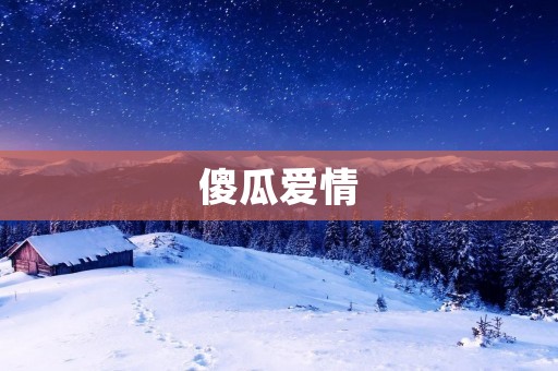 傻瓜爱情:探索真爱的无畏之旅