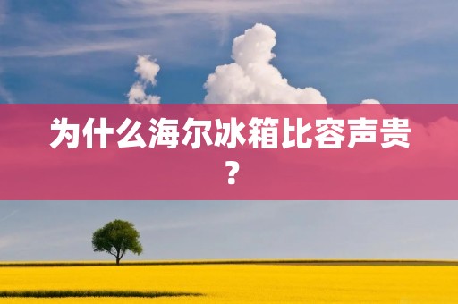 为什么海尔冰箱比容声贵？