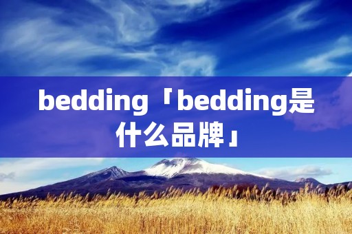 bedding「bedding是什么品牌」